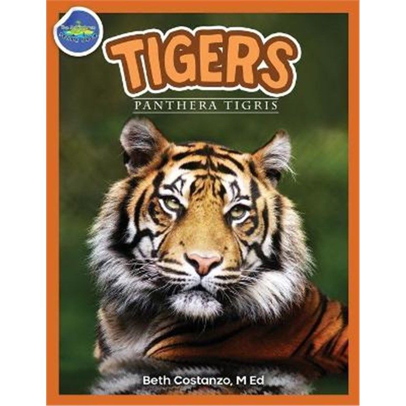 预订，预计下单后3-4周左右发货！