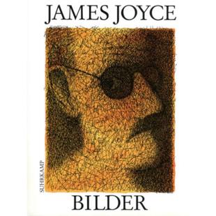 Joyce Bilder Einf. 预订 Anthony James Burgess 德语