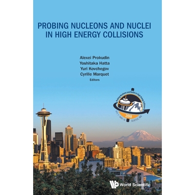 按需印刷Probing Nucleons and Nuclei in High Energy Collisions[9789811214943]