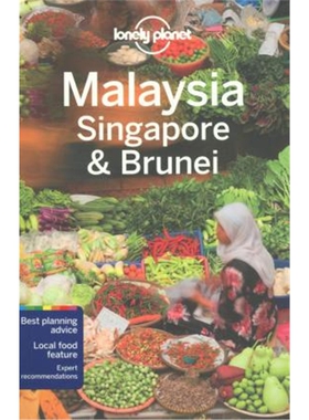 现货 孤独星球Lonely Planet Malaysia, Singapore And Brunei 马来西亚 新加坡和文莱 英文原版 旅游 【上海外文书店】