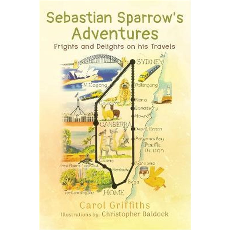 预订，预计下单后2-3周左右发货！