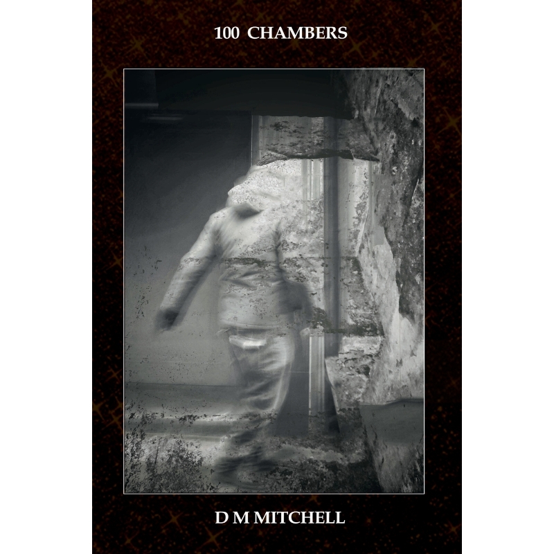 预订，预计下单后2-3周左右发货！