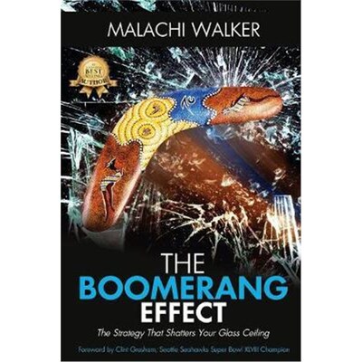 按需印刷THE BOOMERANG EFFECT[9781947256866]