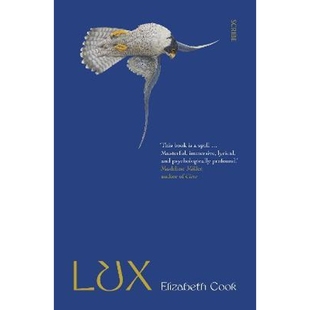 预订Lux novel