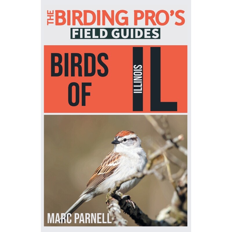 预订，预计下单后2-3周左右发货！