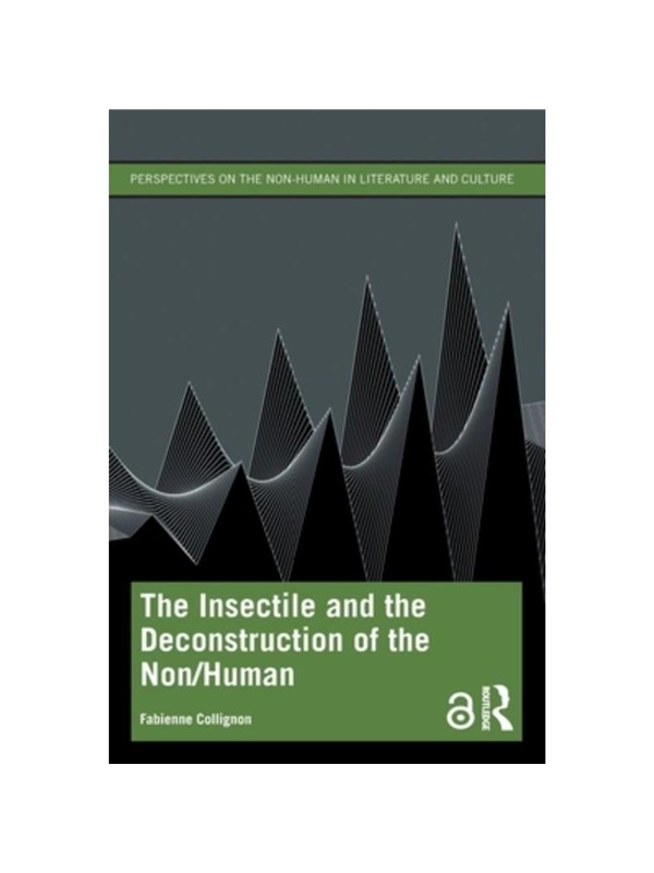 预订，预计下单后3-6周左右发货！