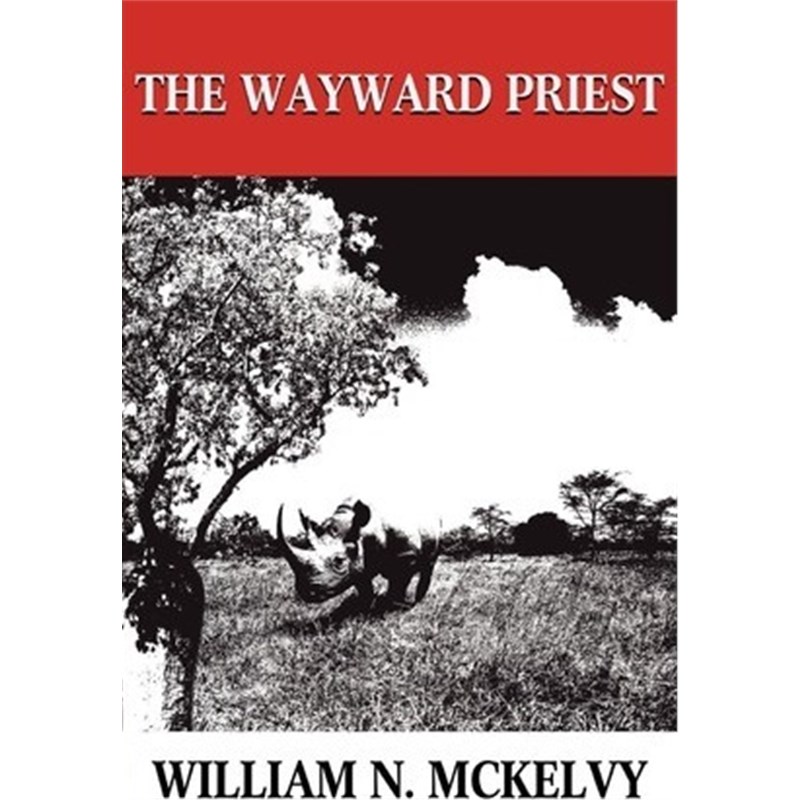 预订，预计下单后3-4周左右发货！