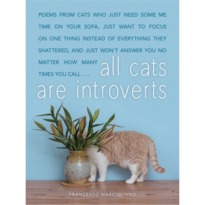 预订All Cats Are Introverts[9781449495633]