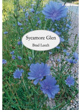 按需印刷Sycamore Glen[9780998749723]