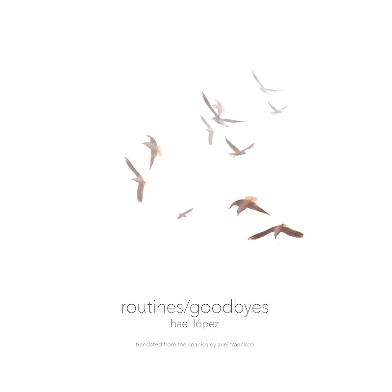 预订，预计下单后2-3周左右发货！