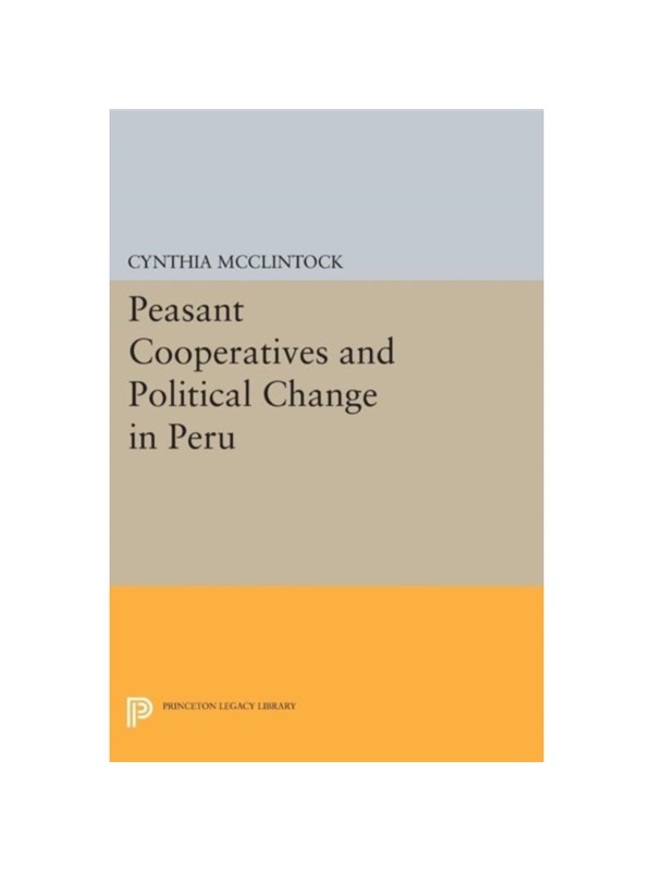 预订，预计下单后3-6周左右发货！