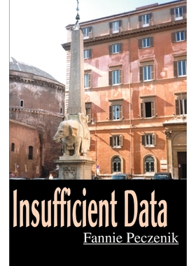 按需印刷Insufficient Data[9780595099122]