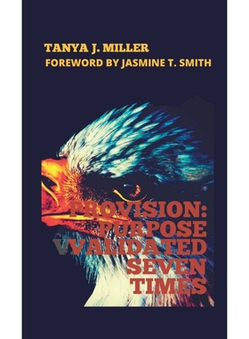 按需印刷Provision[9781387721986]