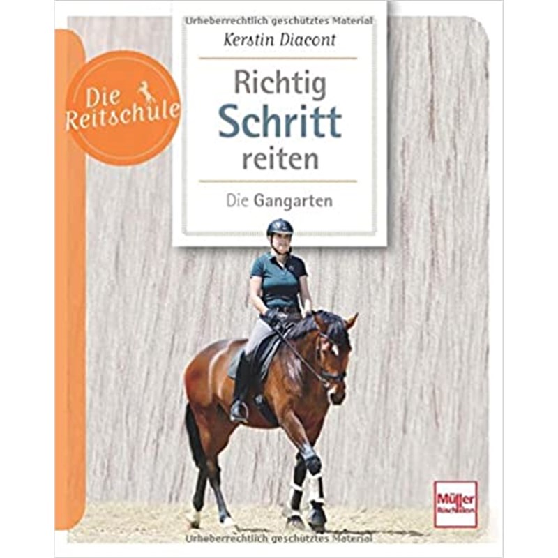 预订，预计下单后3-6周左右发货！