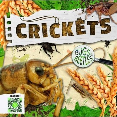 预订不退不换Crickets