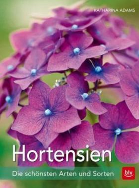 预订【德语】 Hortensien:Die schönsten Arten und Sorten