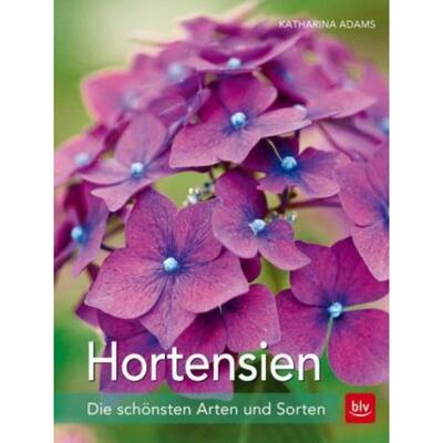 预订不退不换德语 Hortensien:Die schönsten Arten und Sorten