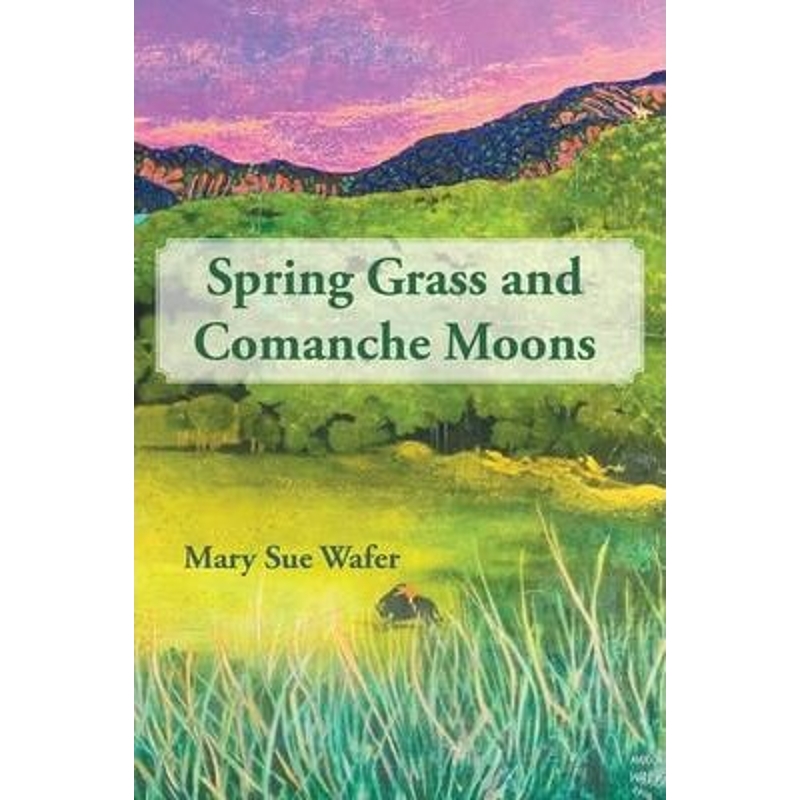 预订，预计下单后2-3周左右发货！