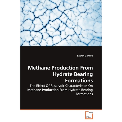 按需印刷Methane Production From Hydrate Bearing Formations[9783639136289]