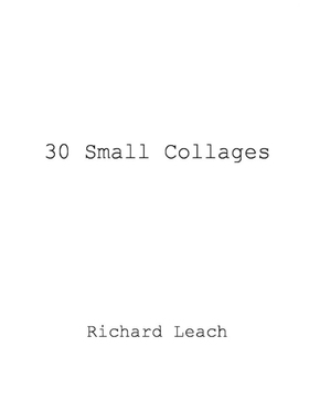 按需印刷30 Small Collages[9781387782789]