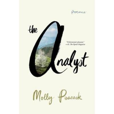 预订不退不换The Analyst:Poems