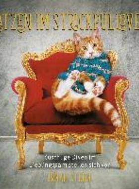 预订【德语】 Katzen im Strickpullover:Kuschlige Diven im Lieblingsgarn stellen sich vor