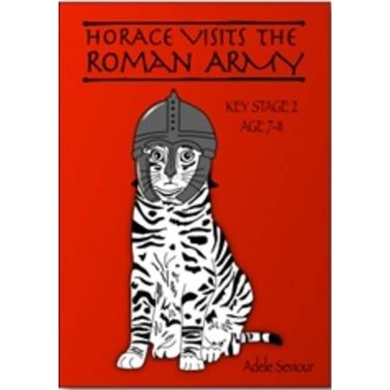 预订，预计下单后2-3周左右发货！