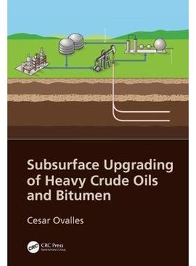 按需印刷Subsurface Upgrading of Heavy Crude Oils and Bitumen[9781138744448]