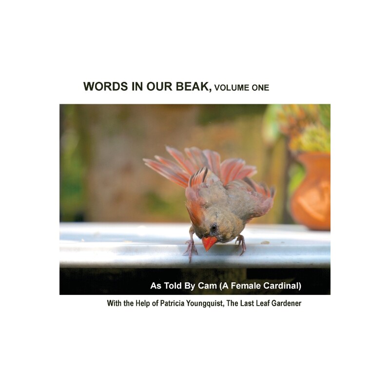 按需印刷不退不换Words In Our Beak, Volume One[9780996378529]