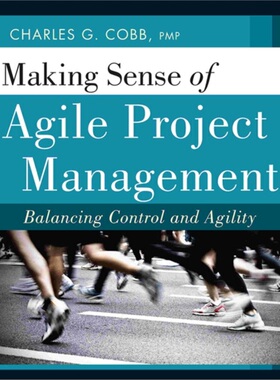 预订不退不换Making Sense of Agile Project Management[9780470943366]