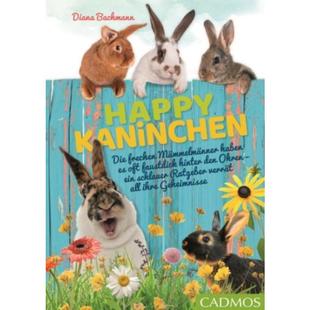 haben 德语 frechen 预订 hinter Kaninchen faustdick Happy Die oft Mümmelmänner
