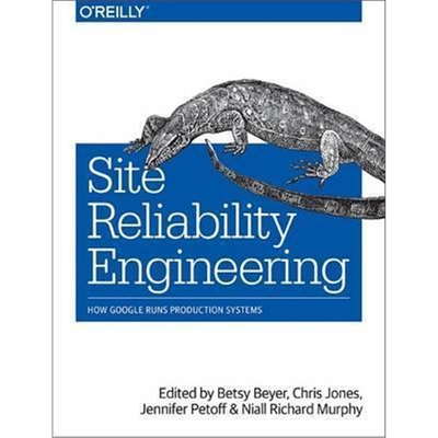 按需印刷不退不换Site Reliability Engineering[9781491929124]