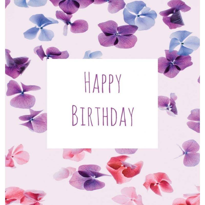 预订，预计下单后2-3周左右发货！