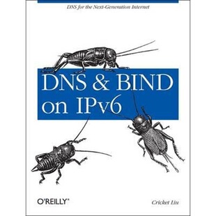 and 9781449305192 BIND IPv6 预订DNS