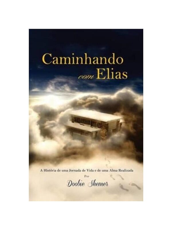 预订，预计下单后3-6周左右发货！