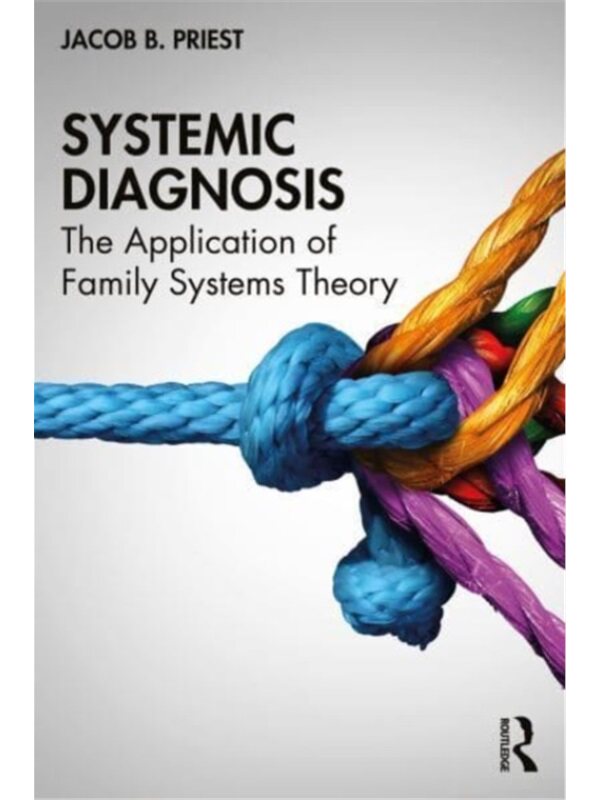 预订，预计下单后4-6周左右发货