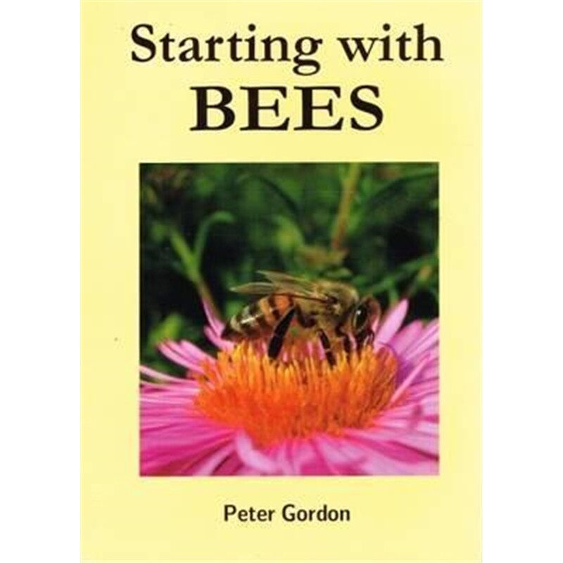 预订不退不换Starting with Bees