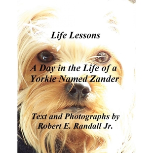 Zander the Yorkie Life 9780578020761 按需印刷A Named Day