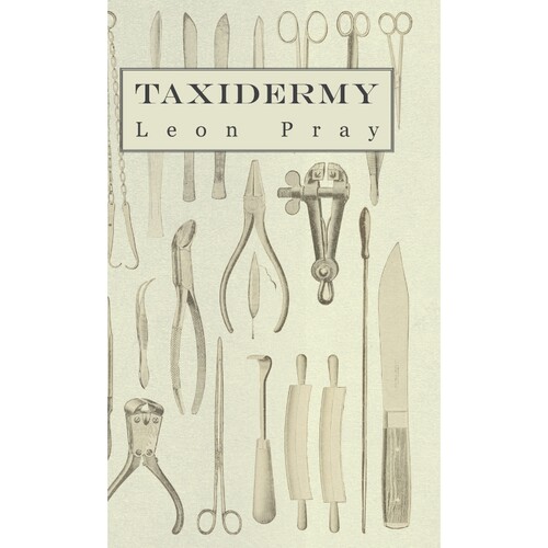 预订，预计下单后2-3周左右发货！