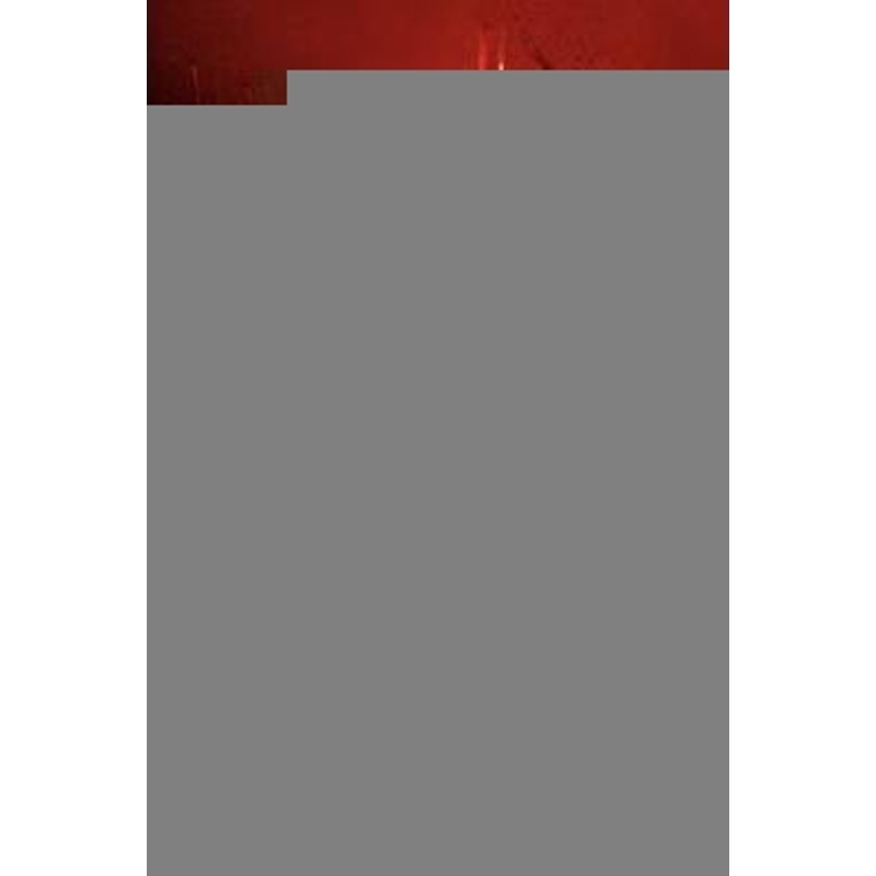 预订，预计下单后2-3周左右发货！