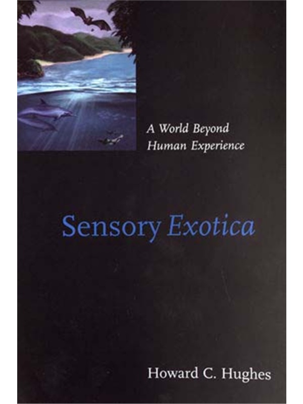 预订，预计下单后4-6周左右发货