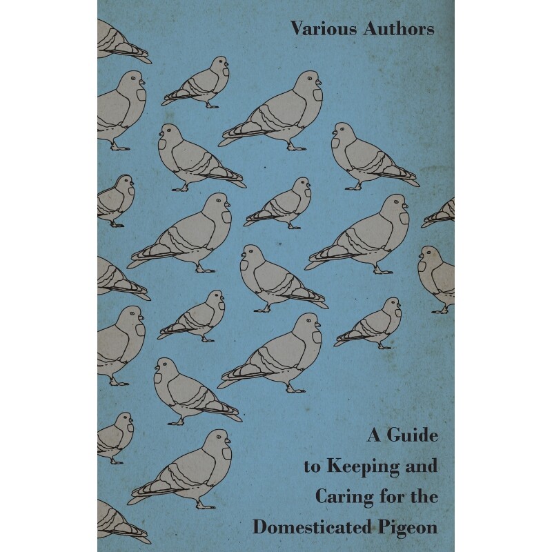 按需印刷A Guide to Keeping and Caring for the Domesticated Pigeon[9781447415268]