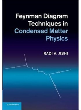 按需印刷不退不换Feynman Diagram Techniques in Condensed Matter Physics[9781107655331]