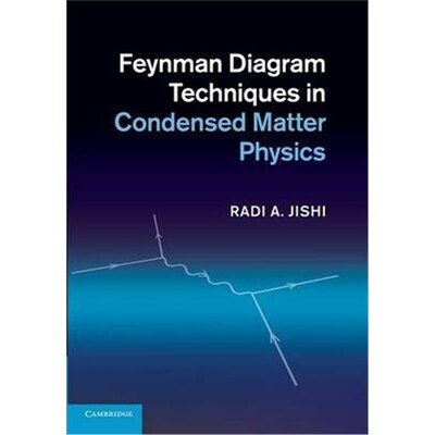 按需印刷不退不换Feynman Diagram Techniques in Condensed Matter Physics[9781107655331]