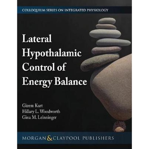 预订，预计下单后2-3周左右发货！