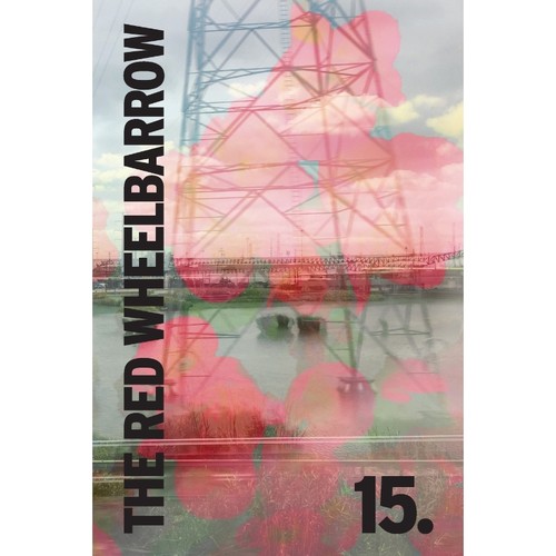 预订，预计下单后2-3周左右发货！