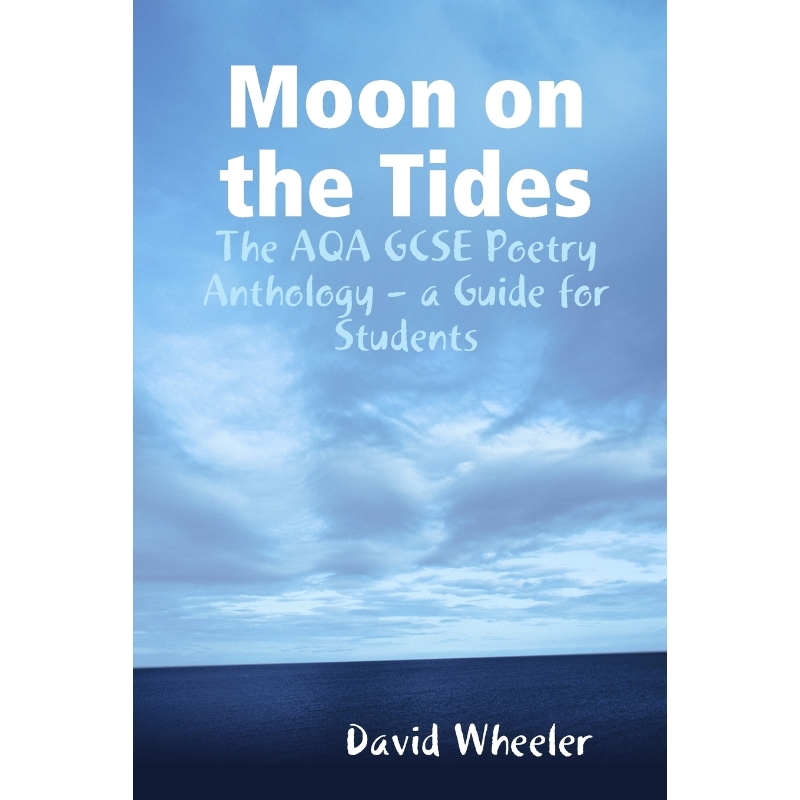 按需印刷Moon on the Tides[9781446766200]