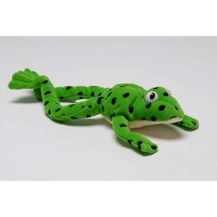 预订 Read Write Inc. Phonics: Fred Frog Beanie 读写公司自然拼读：青蛙弗雷迪玩偶