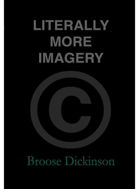 按需印刷Literally More Imagery[9780578171951]