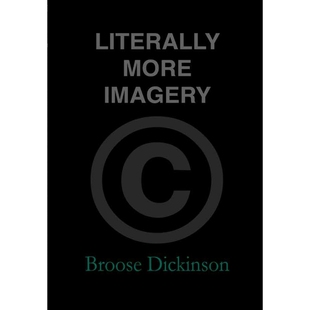按需印刷不退不换Literally More Imagery[9780578171951]